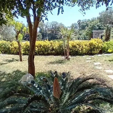 Carpe Diem Domus Vendégház Ischia